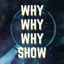 Podcast thumbnail for Why Why Why Show
