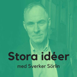 Podcast thumbnail for Stora idéer med Sverker Sörlin