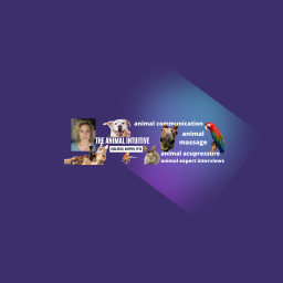Podcast thumbnail for The Animal Intuitive® Channel