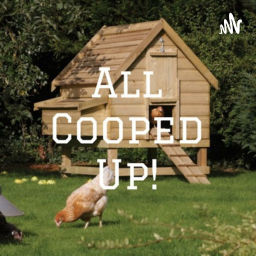 Podcast thumbnail for All Cooped Up Podcast: