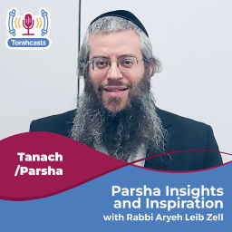 Podcast thumbnail for Parsha Insights and Inspiration