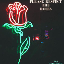Podcast thumbnail for Please, Respect The Roses