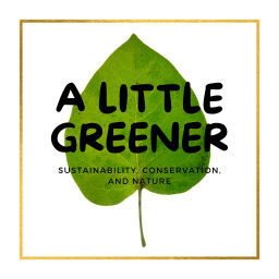Podcast thumbnail for A Little Greener