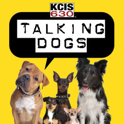 Podcast thumbnail for Talking Dogs on KCIS