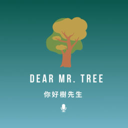 Podcast thumbnail for Dear Mr. Tree
