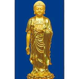 Podcast thumbnail for A Buddhist Practitioner's Podcast
