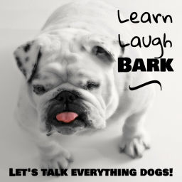 Podcast thumbnail for Learn, Laugh, Bark