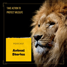 Podcast thumbnail for Animal Stories