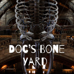 Podcast thumbnail for doc's bone yard