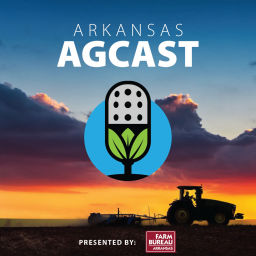 Podcast thumbnail for Arkansas AgCast