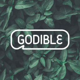 Podcast thumbnail for Godible