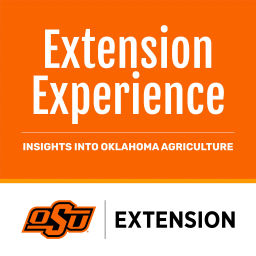 Podcast thumbnail for Extension Experience – Insights into Oklahoma Agriculture