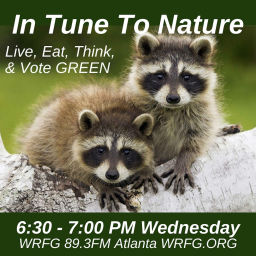 Podcast thumbnail for In Tune to Nature Podcast