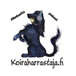 Podcast thumbnail for #ilonkautta