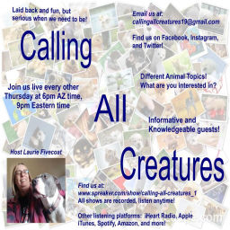 Podcast thumbnail for Calling All Creatures