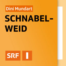 Podcast thumbnail for Dini Mundart Schnabelweid