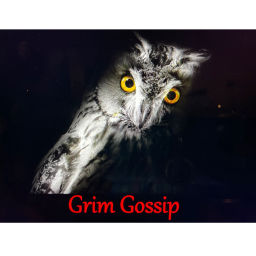 Podcast thumbnail for Grim Gossip