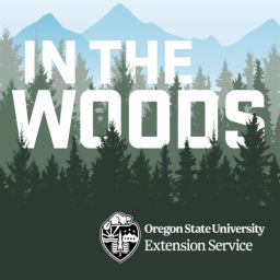 Podcast thumbnail for In the Woods