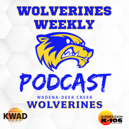 Podcast thumbnail for Wolverines Weekly