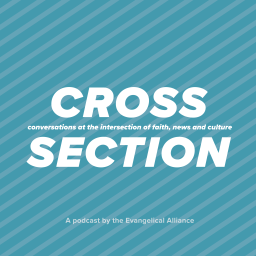 Podcast thumbnail for Cross Section
