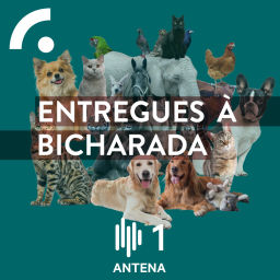 Podcast thumbnail for Entregues à Bicharada