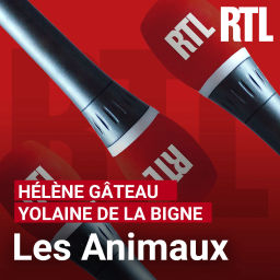 Podcast thumbnail for Les animaux