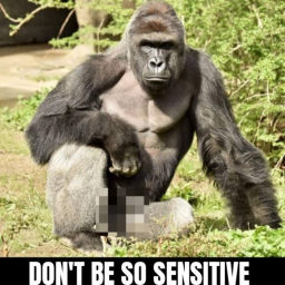Podcast thumbnail for Don't be so sensitive