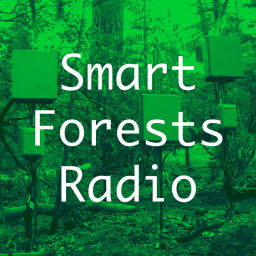 Podcast thumbnail for Smart Forests Radio