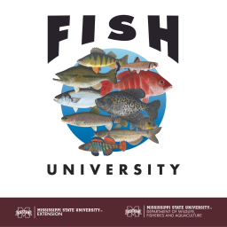 Podcast thumbnail for Fish University
