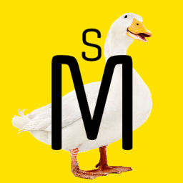 Podcast thumbnail for It's Not The Duck