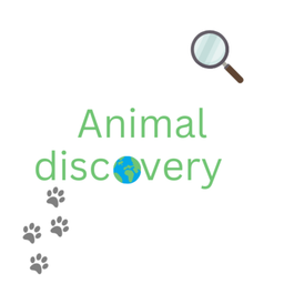 Podcast thumbnail for Animal discovery