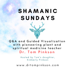 Podcast thumbnail for Shamanic Sundays Podcast