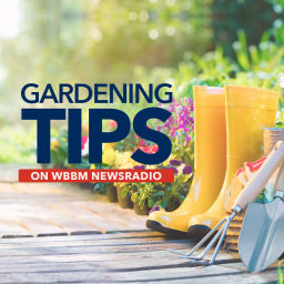 Podcast thumbnail for Gardening Tips on WBBM Newsradio