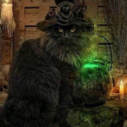 Podcast thumbnail for Stirring the Cauldron