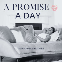 Podcast thumbnail for A Promise A Day