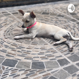 Podcast thumbnail for Tiki la mascota