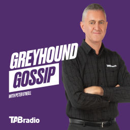 Podcast thumbnail for Greyhound Gossip