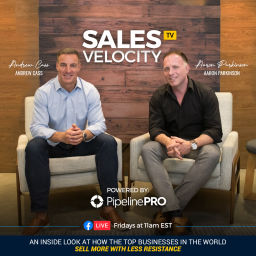 Podcast thumbnail for Sales Velocity