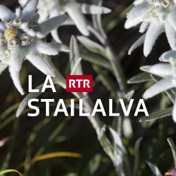 Podcast thumbnail for La stailalva