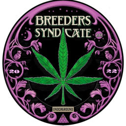 Podcast thumbnail for Breeders Syndicate 2.0