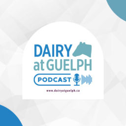 Podcast thumbnail for Dairy at Guelph Podcast
