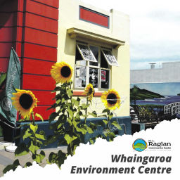 Podcast thumbnail for Whaingaroa Environment
