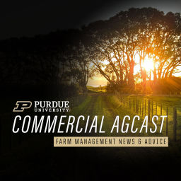 Podcast thumbnail for Purdue Commercial AgCast