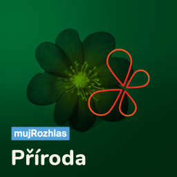 Podcast thumbnail for Český rozhlas - Příroda