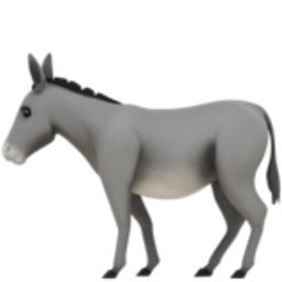 Podcast thumbnail for El Burro Podcast