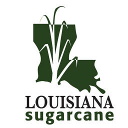 Podcast thumbnail for Louisiana Sugarcane News