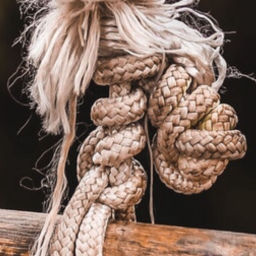 Podcast thumbnail for A Frayed Knot