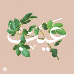 Podcast thumbnail for Eib | عيب