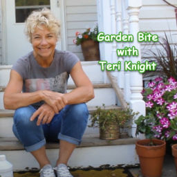 Podcast thumbnail for Garden Bite with Teri Knight