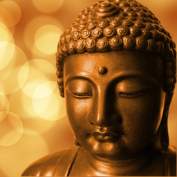 Podcast thumbnail for Dhamma en Español
